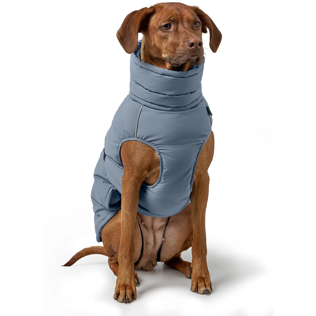Hunter Dog Coat Paxton Blue