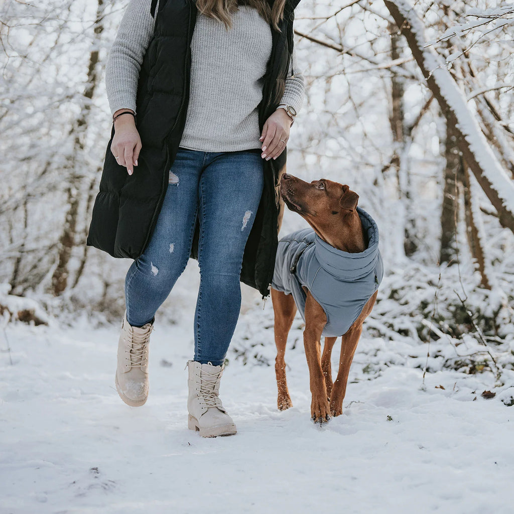 Hunter Dog Coat Paxton Blue