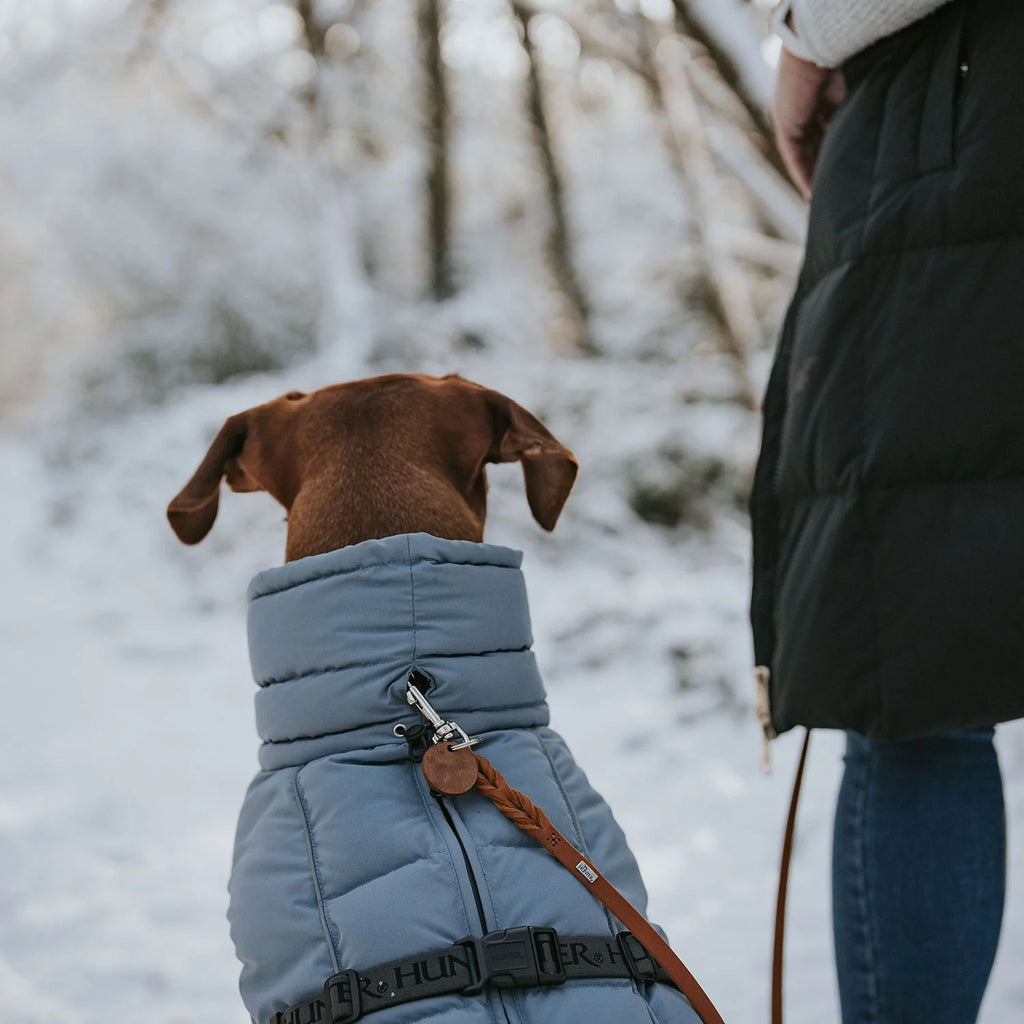 Hunter Dog Coat Paxton Blue