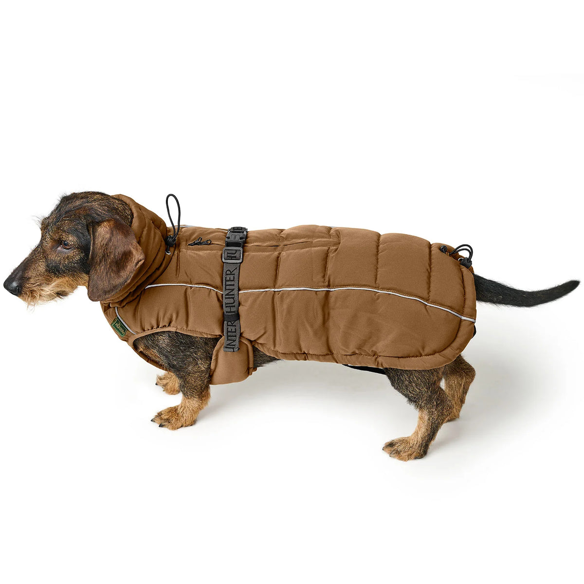 Hunter Dog Coat Paxton DACHSHUND Brown
