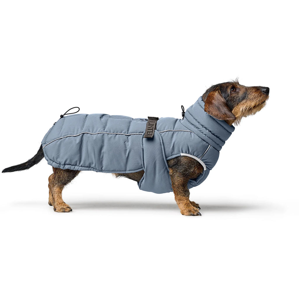 Hunter Dog Coat Paxton DACHSHUND Blue