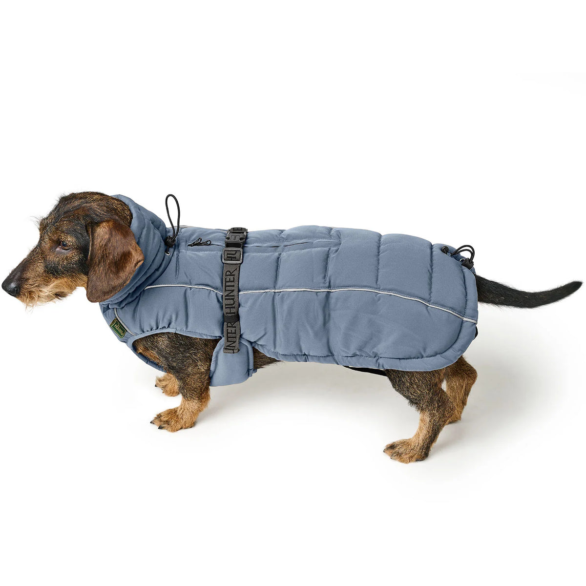 Hunter Dog Coat Paxton DACHSHUND Blue