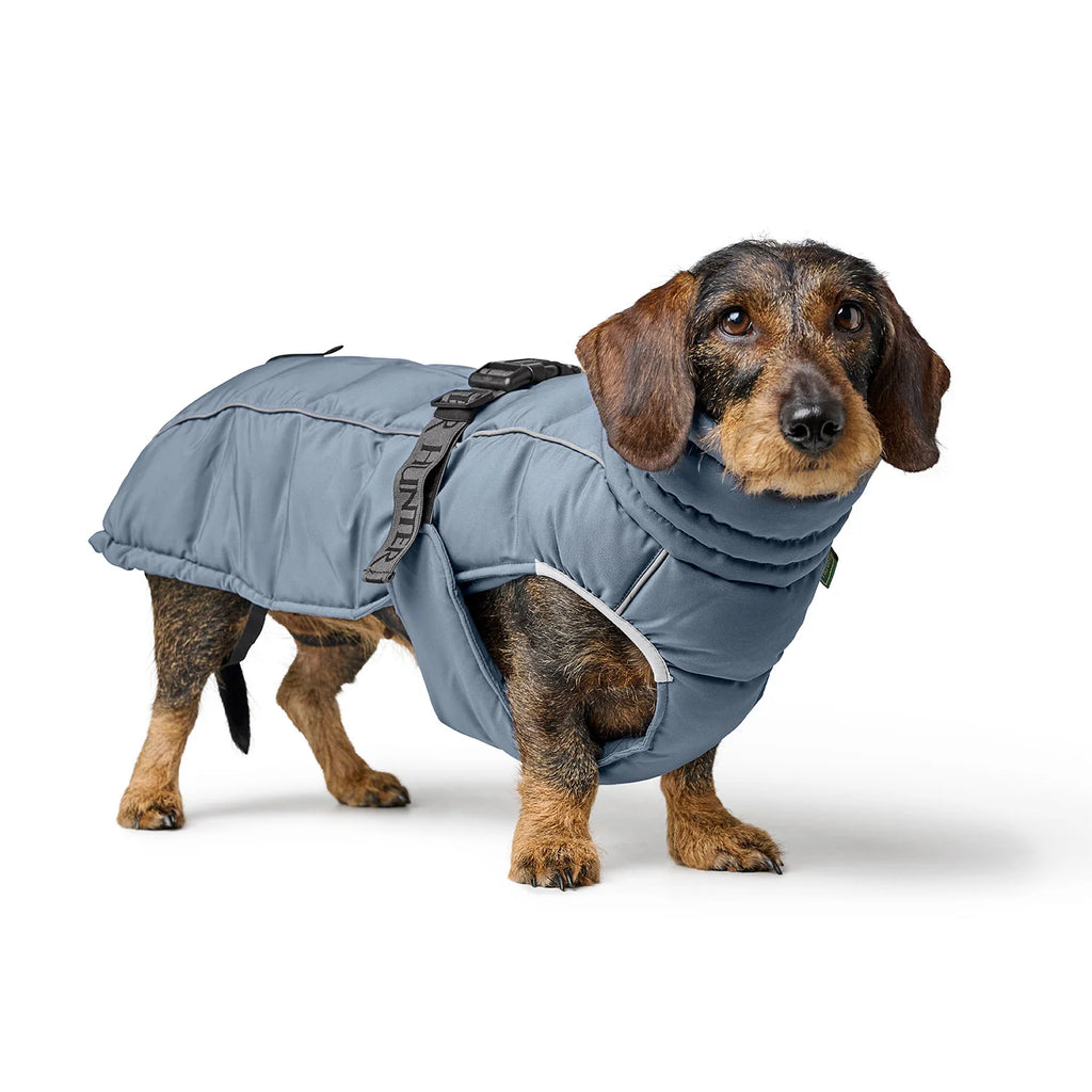 Hunter Dog Coat Paxton DACHSHUND Blue