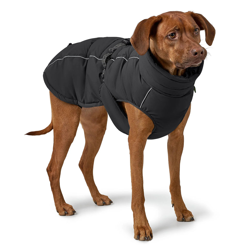 Hunter Hundemantel Paxson Schwarz