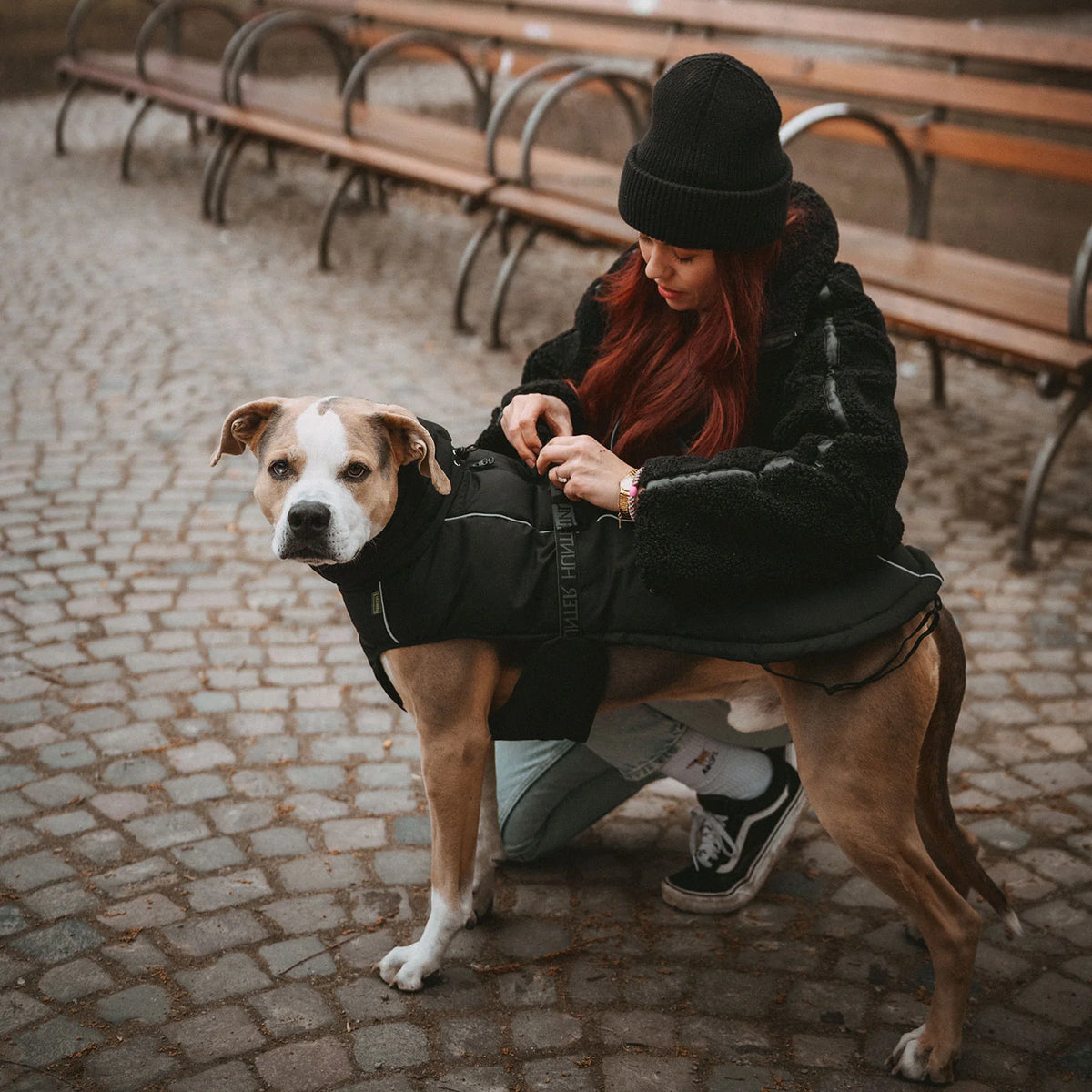 Hunter Hundemantel Paxson Schwarz