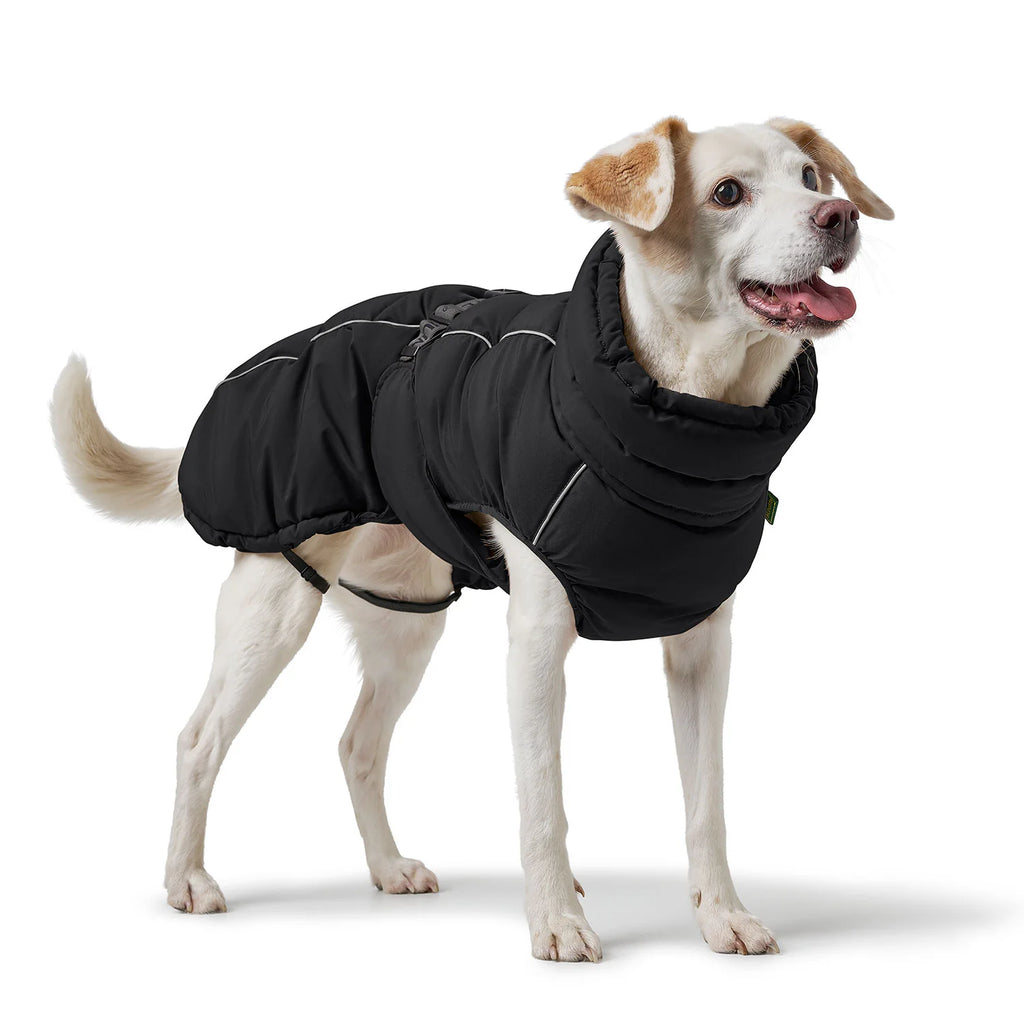 Hunter Hundemantel Paxson Schwarz