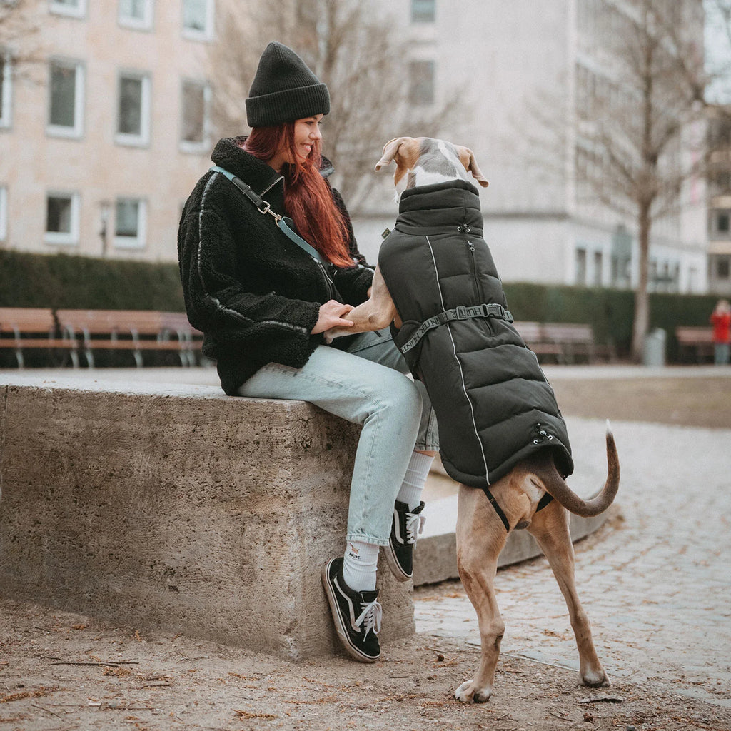 Hunter Hundemantel Paxson Schwarz