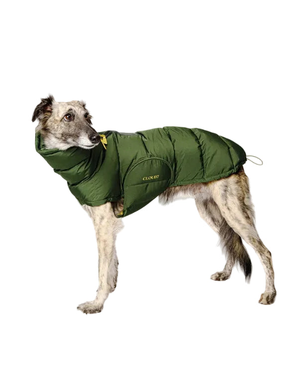 CLOUD7 Hundemantel Alaska WINDHUND Olive