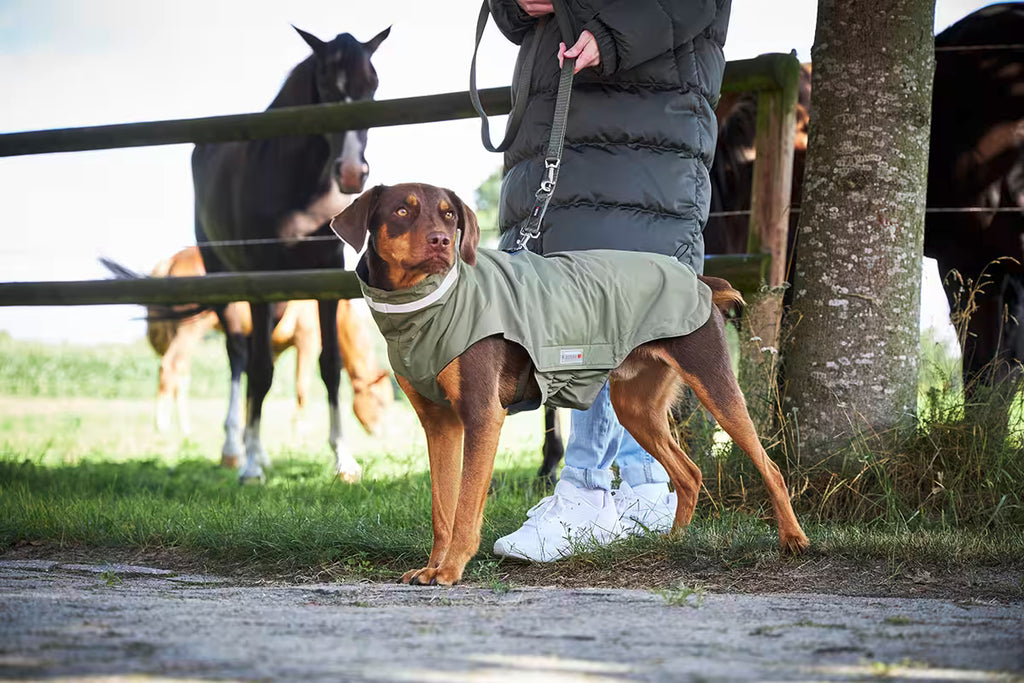 Wolters Hundemantel Outdoorjacke Modern Classic Oliv