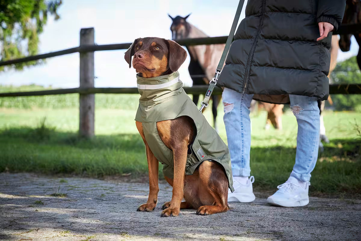 Wolters Hundemantel Outdoorjacke Modern Classic Oliv
