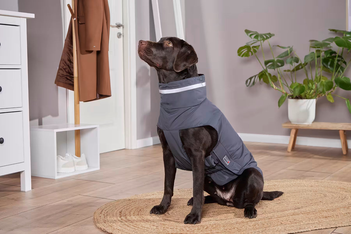 Wolters Hundemantel Outdoorjacke Modern Classic Anthrazit