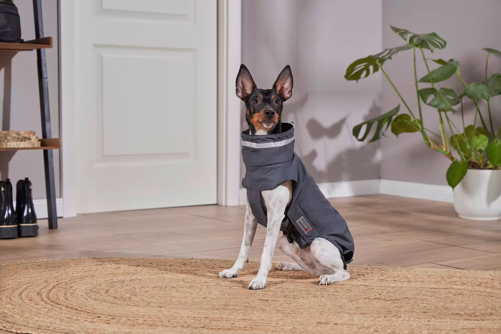 Wolters Hundemantel Outdoorjacke Modern Classic Anthrazit