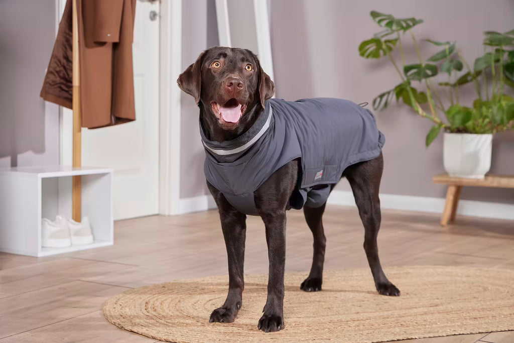 Wolters Hundemantel Outdoorjacke Modern Classic Anthrazit