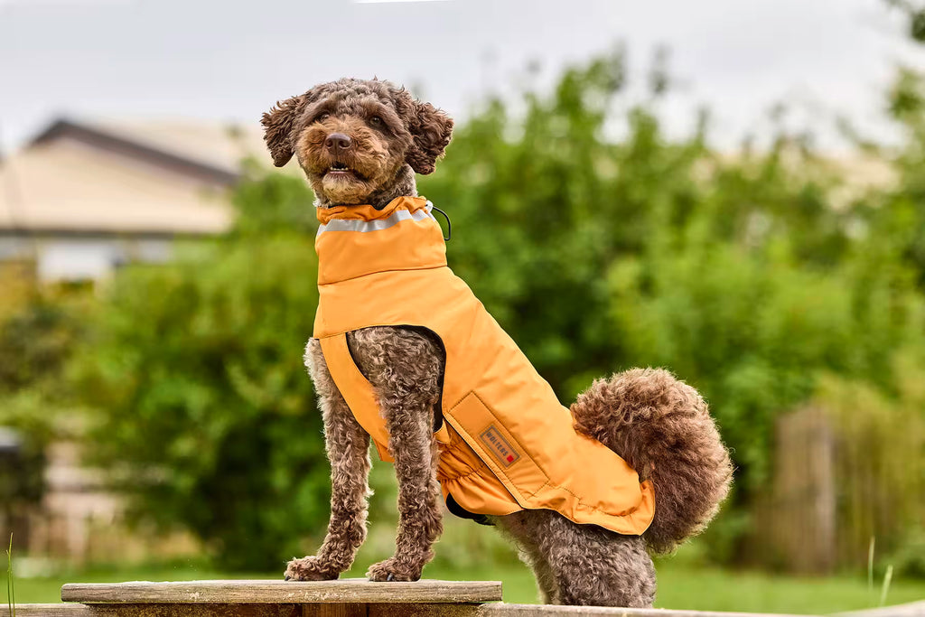 Wolters Hundemantel Outdoorjacke Modern Classic Orange