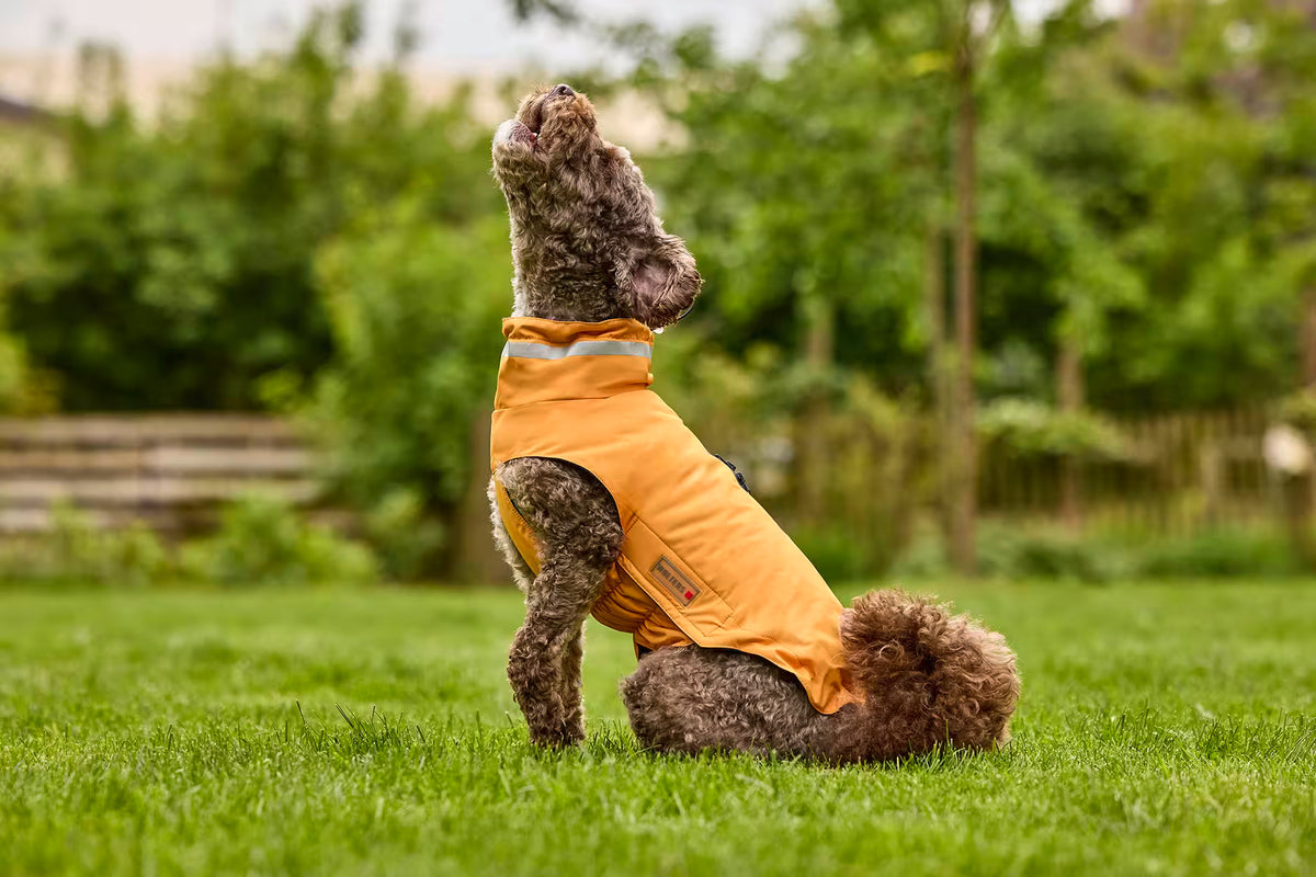 Wolters Hundemantel Outdoorjacke Modern Classic Orange