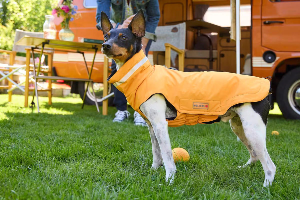 Wolters Hundemantel Outdoorjacke Modern Classic Orange