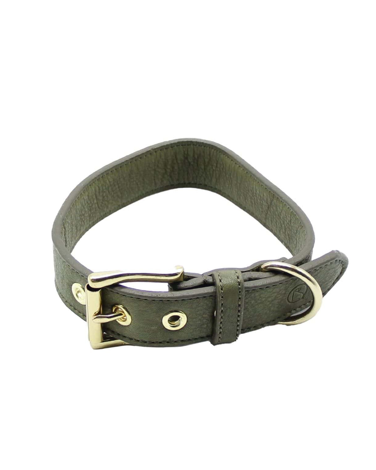 Allen Barkly Lederhalsband grün