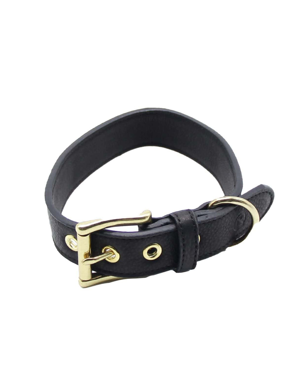 Allen Barkly Lederhalsband schwarz
