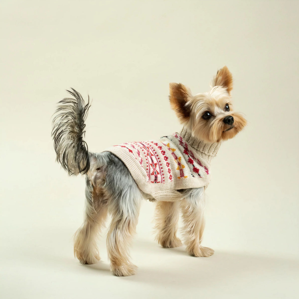 Alqo Wasi Dog Sweater Aurora