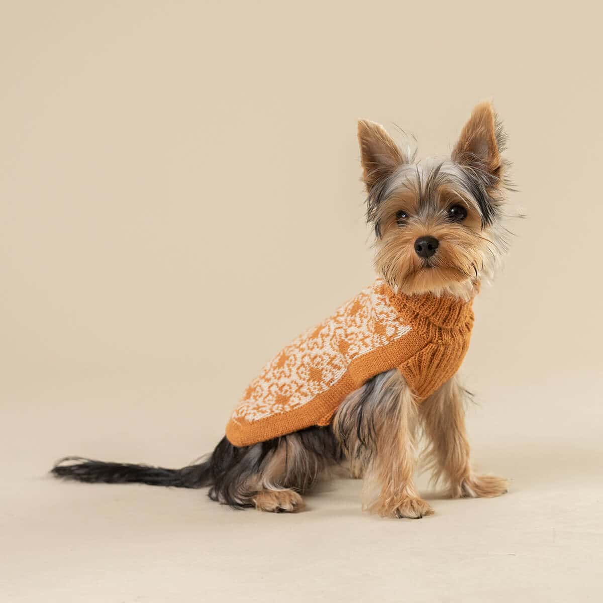 Alqo Wasi Dog Sweater Buttercup