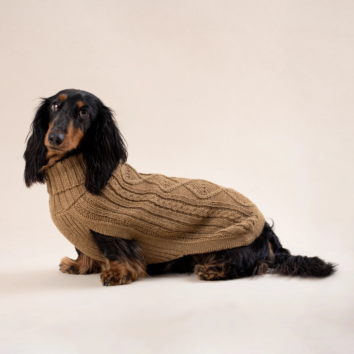 Alqo Wasi Dog Sweater Camel Aran