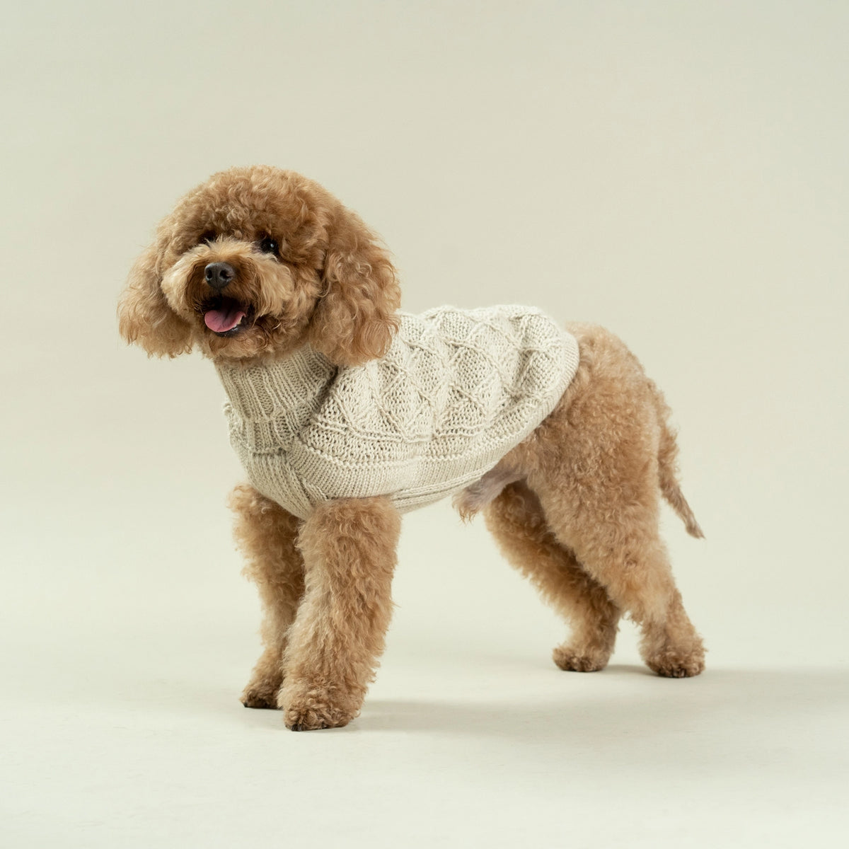 Alqo Wasi Dog Sweater Diamond Knit