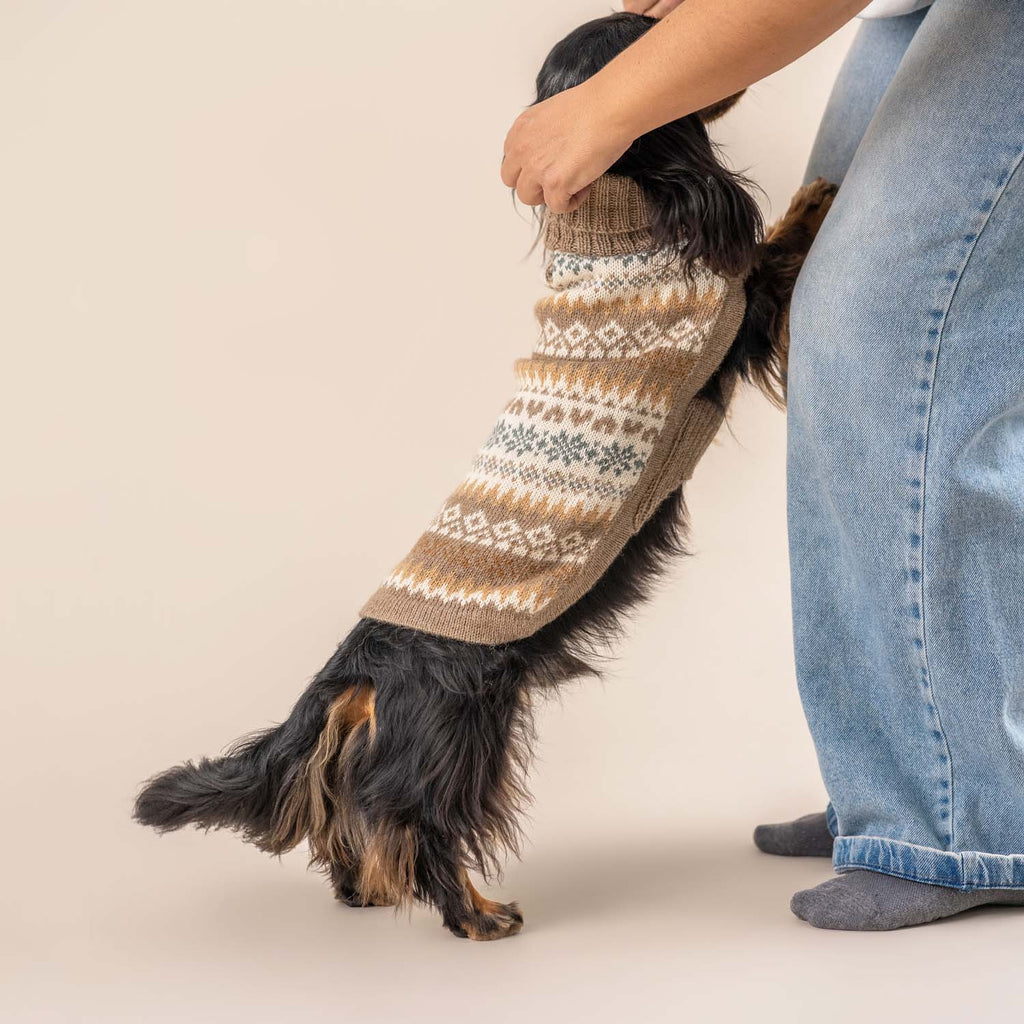 Alqo Wasi Hundepullover Fall Medley Toasted Almond