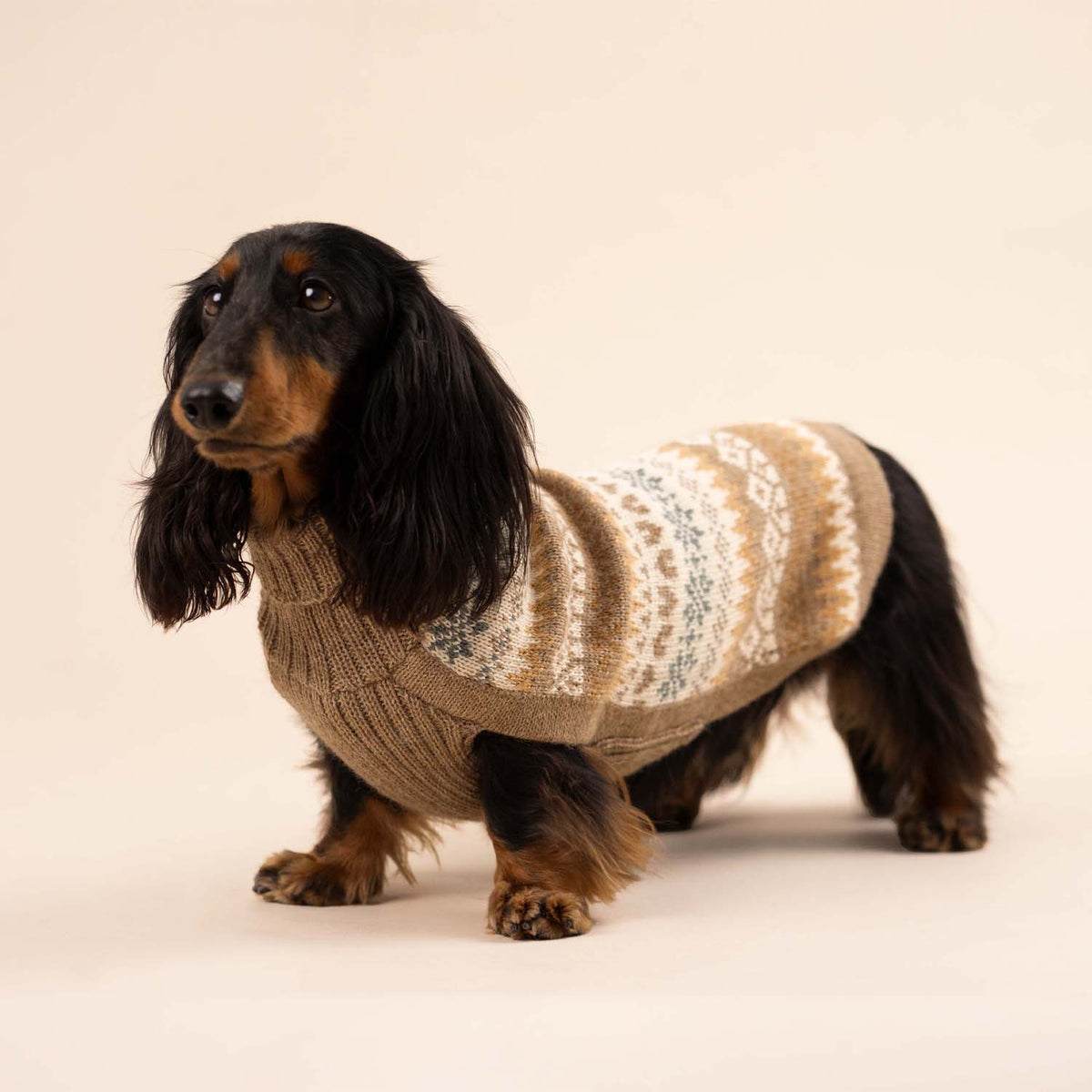 Alqo Wasi Hundepullover Fall Medley Toasted Almond