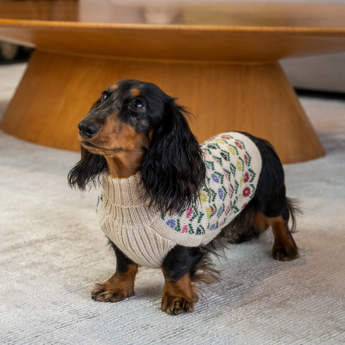 Alqo Wasi Dog Sweater Flower