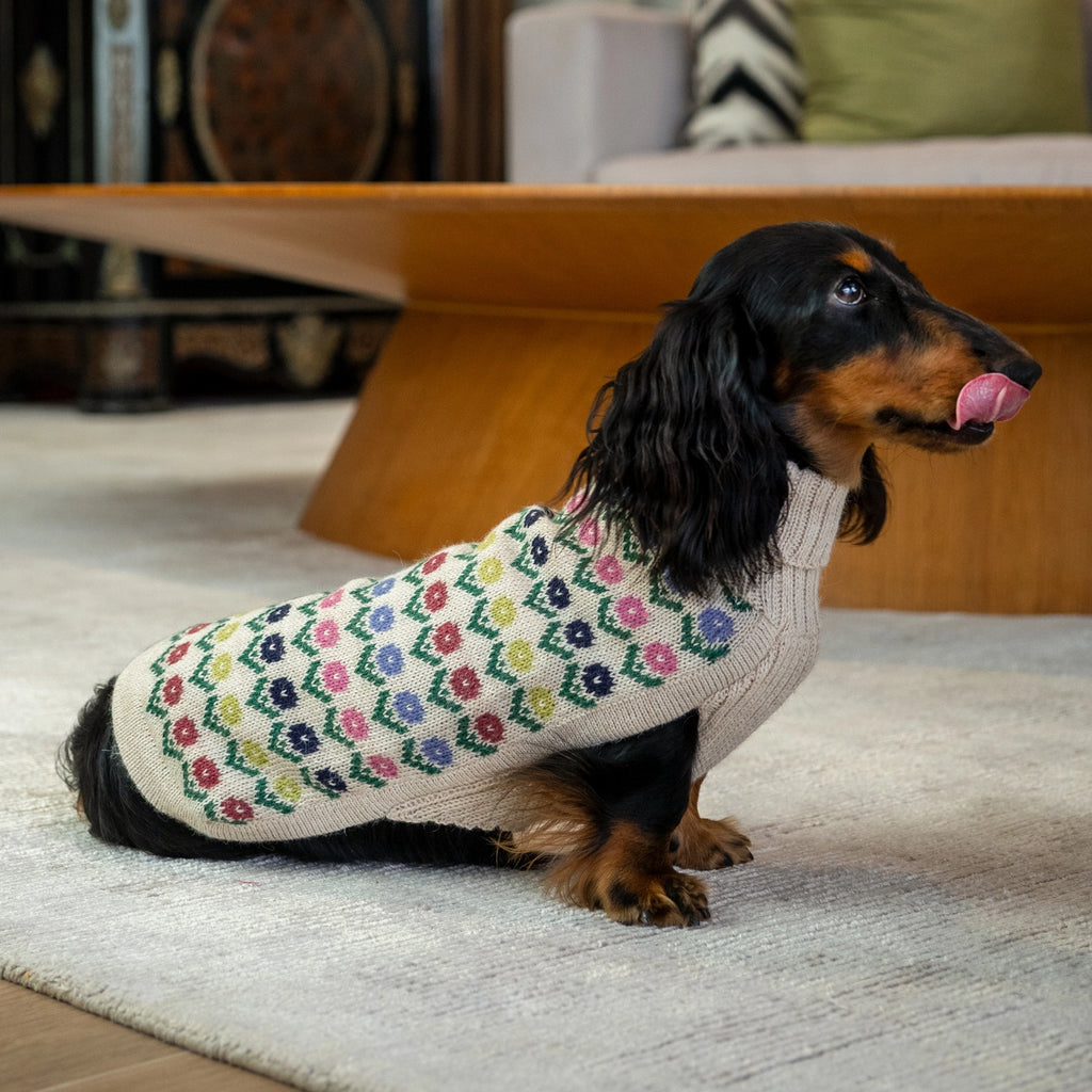 Alqo Wasi Dog Sweater Flower