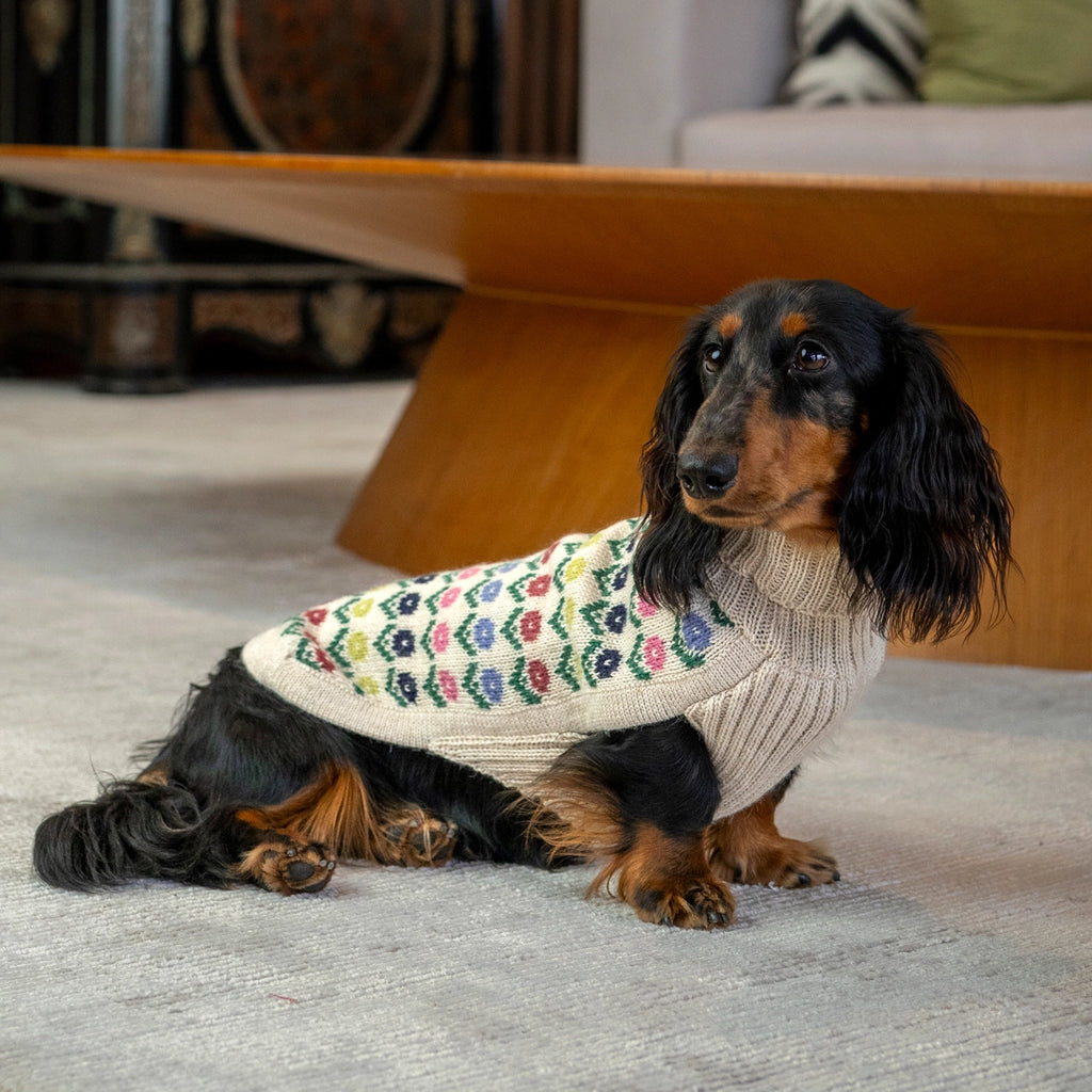 Alqo Wasi Dog Sweater Flower