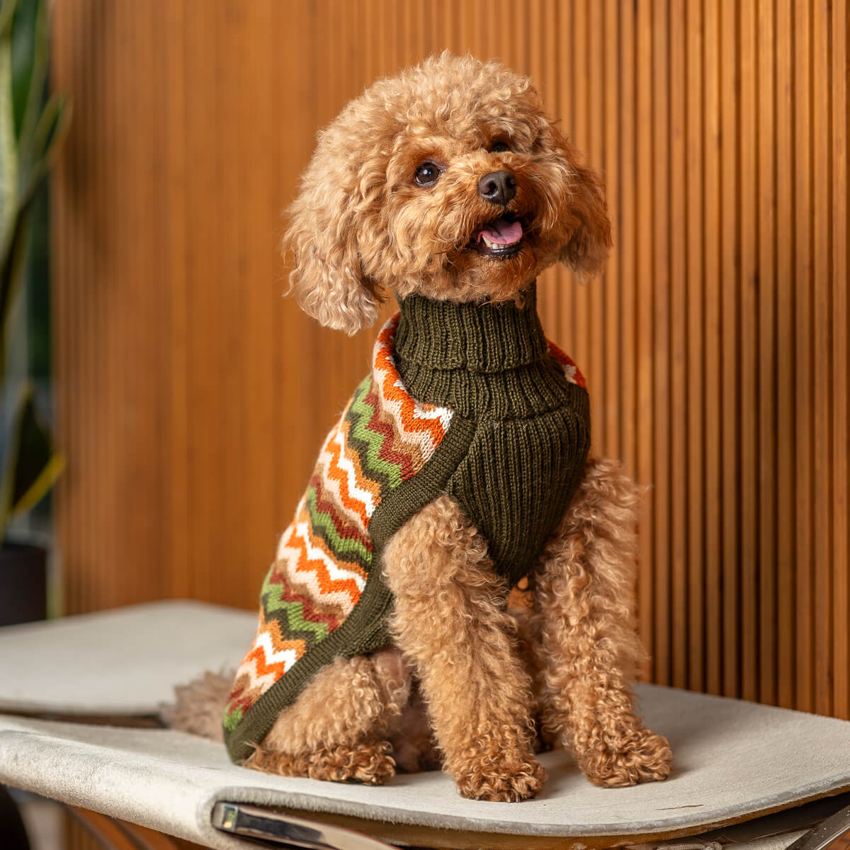 Alqo Wasi Dog Sweater Forest Chevron Knit