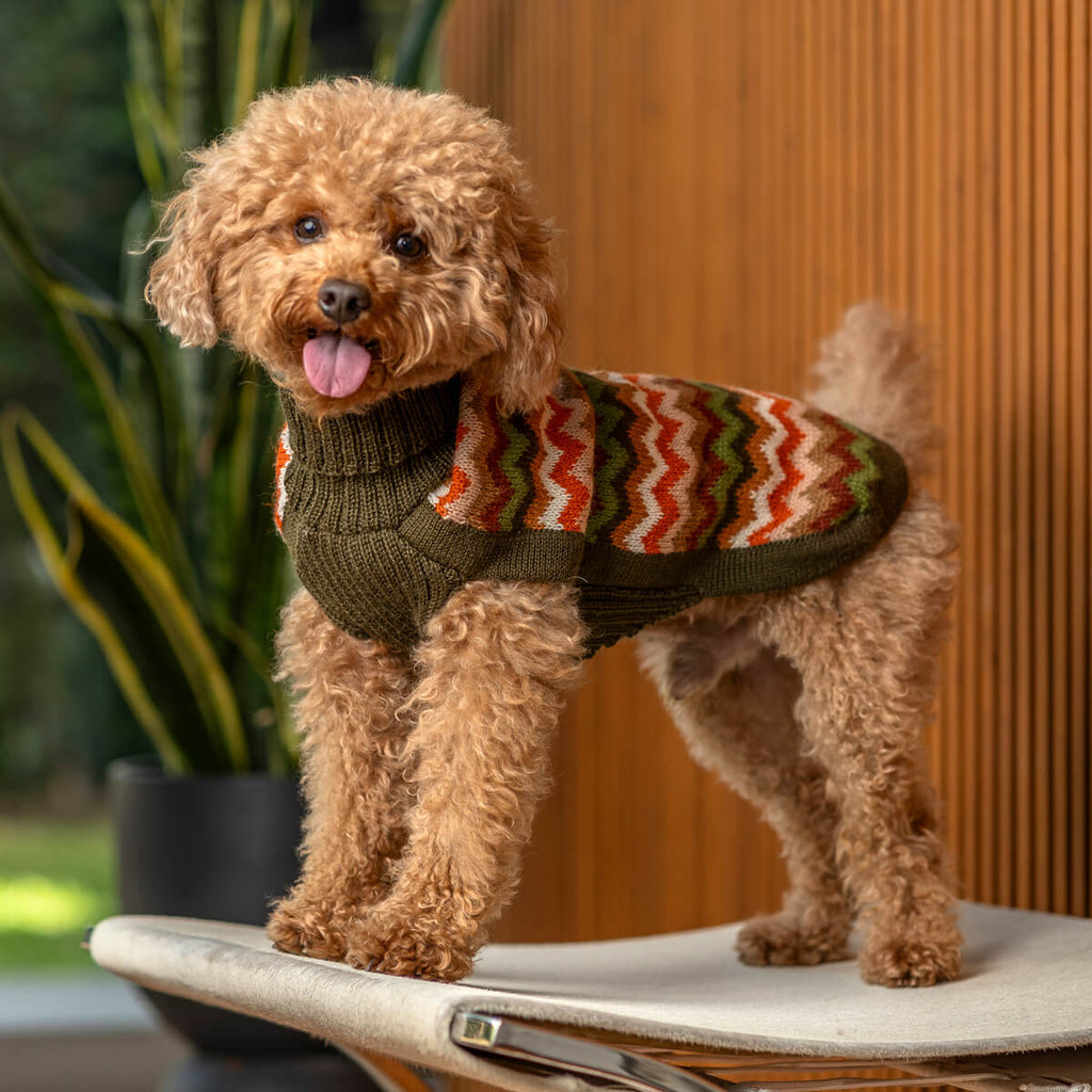 Alqo Wasi Hundepullover Forest Chevron Knit