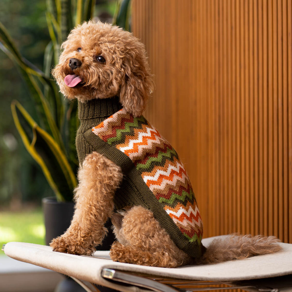 Alqo Wasi Hundepullover Forest Chevron Knit