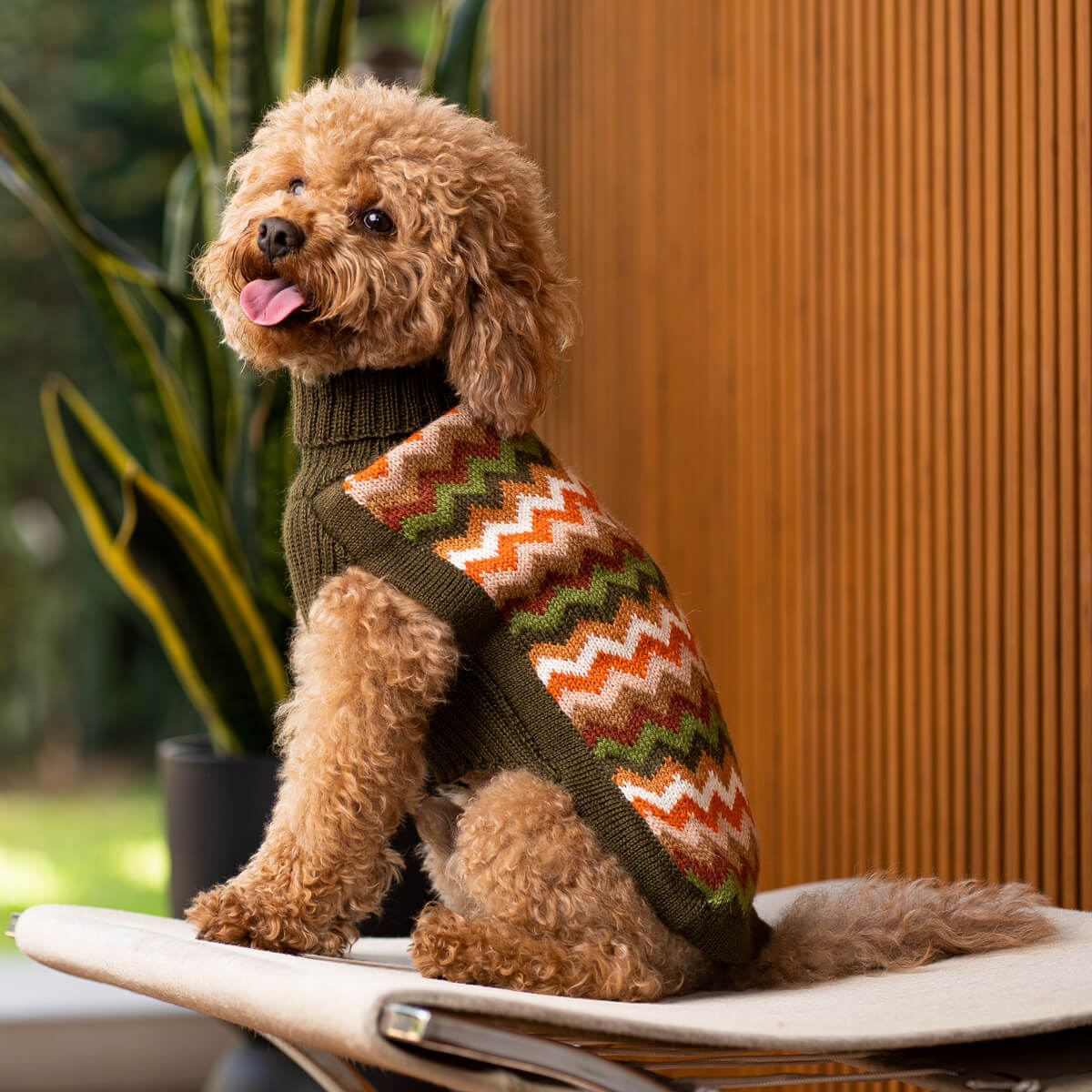 Alqo Wasi Dog Sweater Forest Chevron Knit