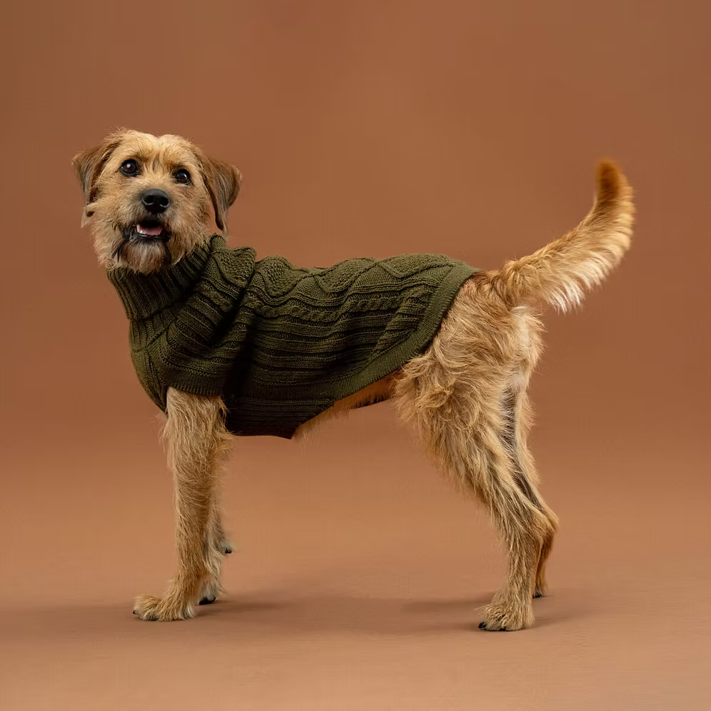 Alqo Wasi Hundepullover Forest Green Aran