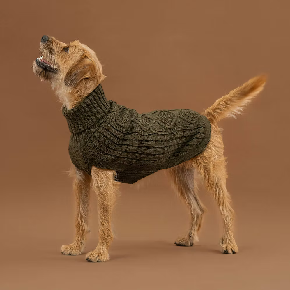 Alqo Wasi Hundepullover Forest Green Aran