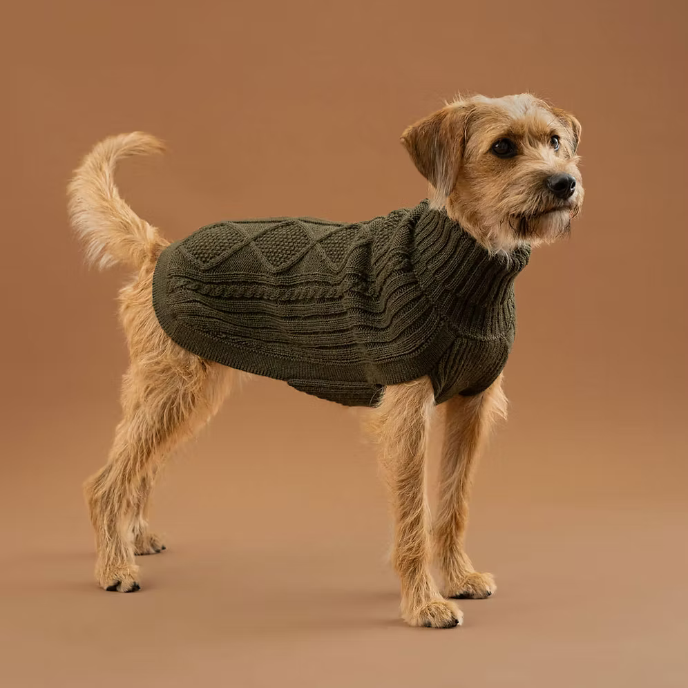 Alqo Wasi Hundepullover Forest Green Aran