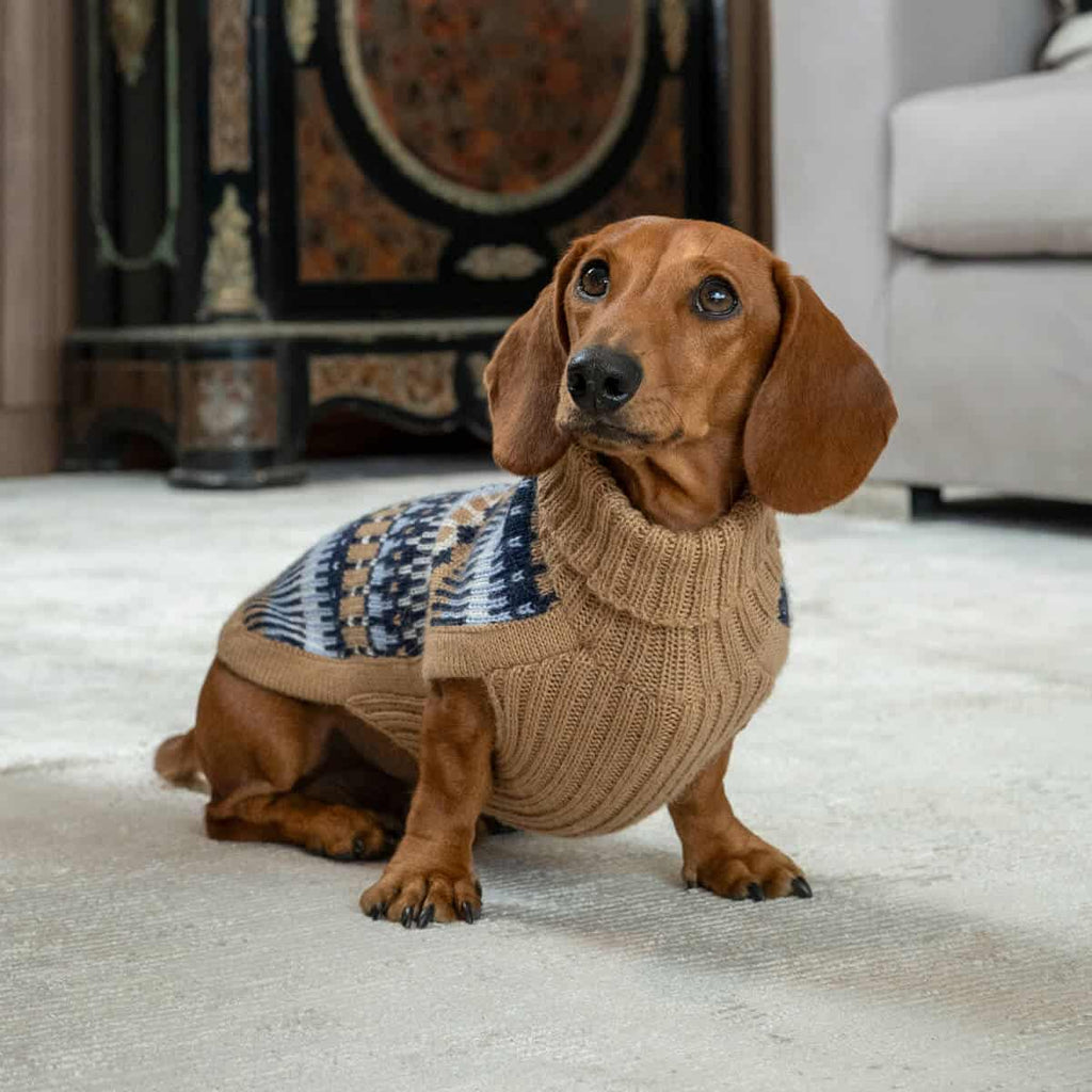 Alqo Wasi Hundepullover Magic Navy