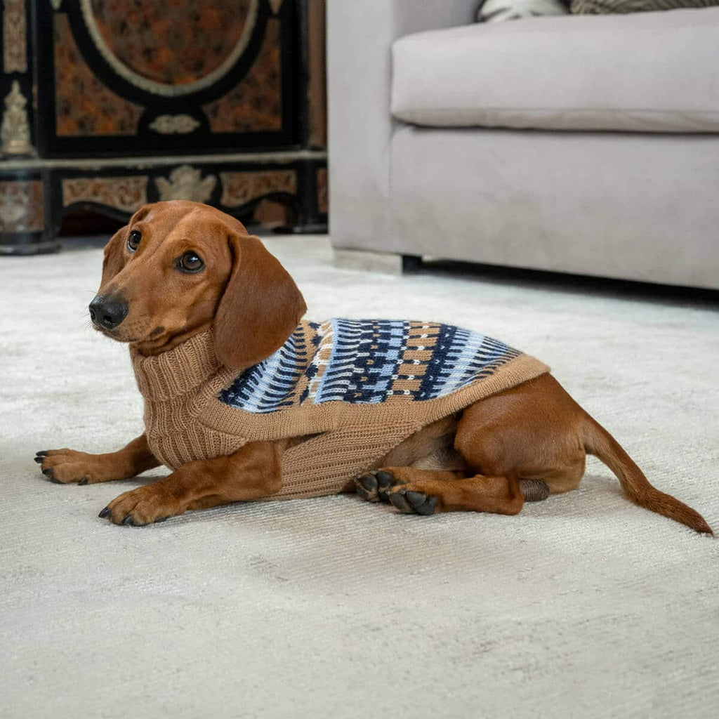 Alqo Wasi Hundepullover Magic Navy