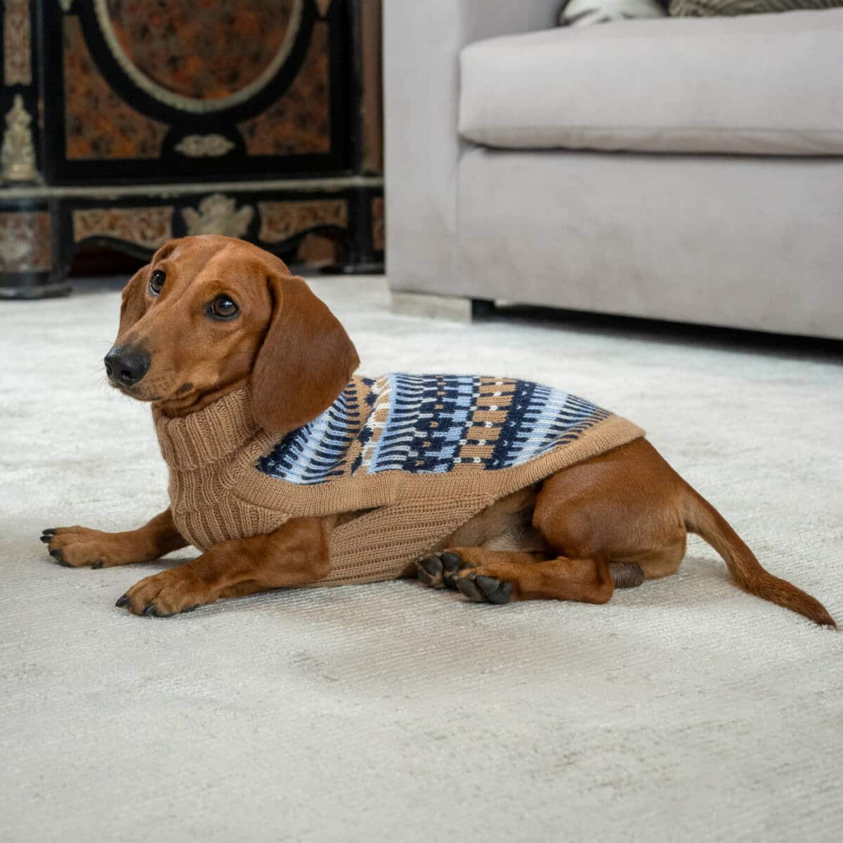 Alqo Wasi Hundepullover Magic Navy