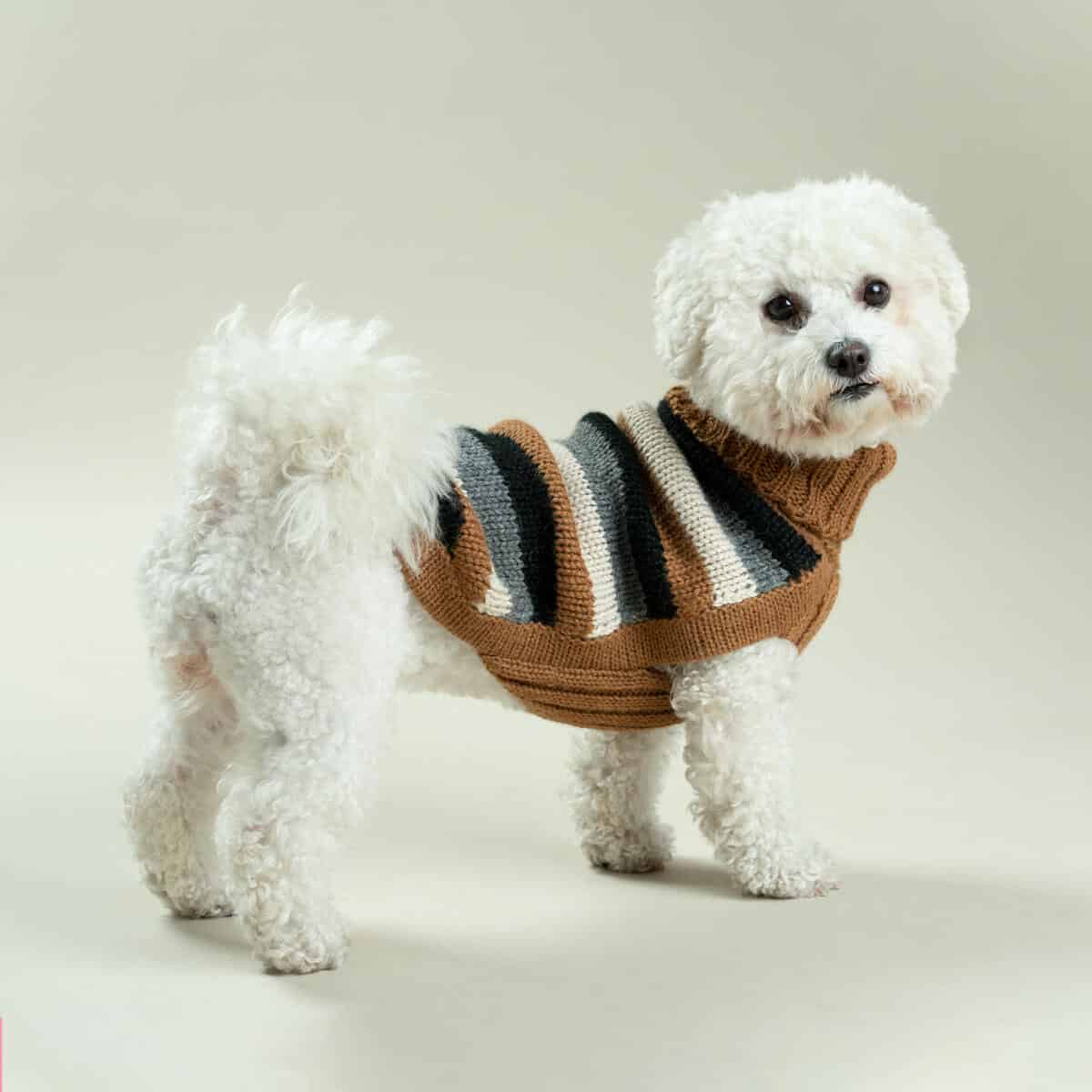 Alqo Wasi Hundepullover Native Stripes