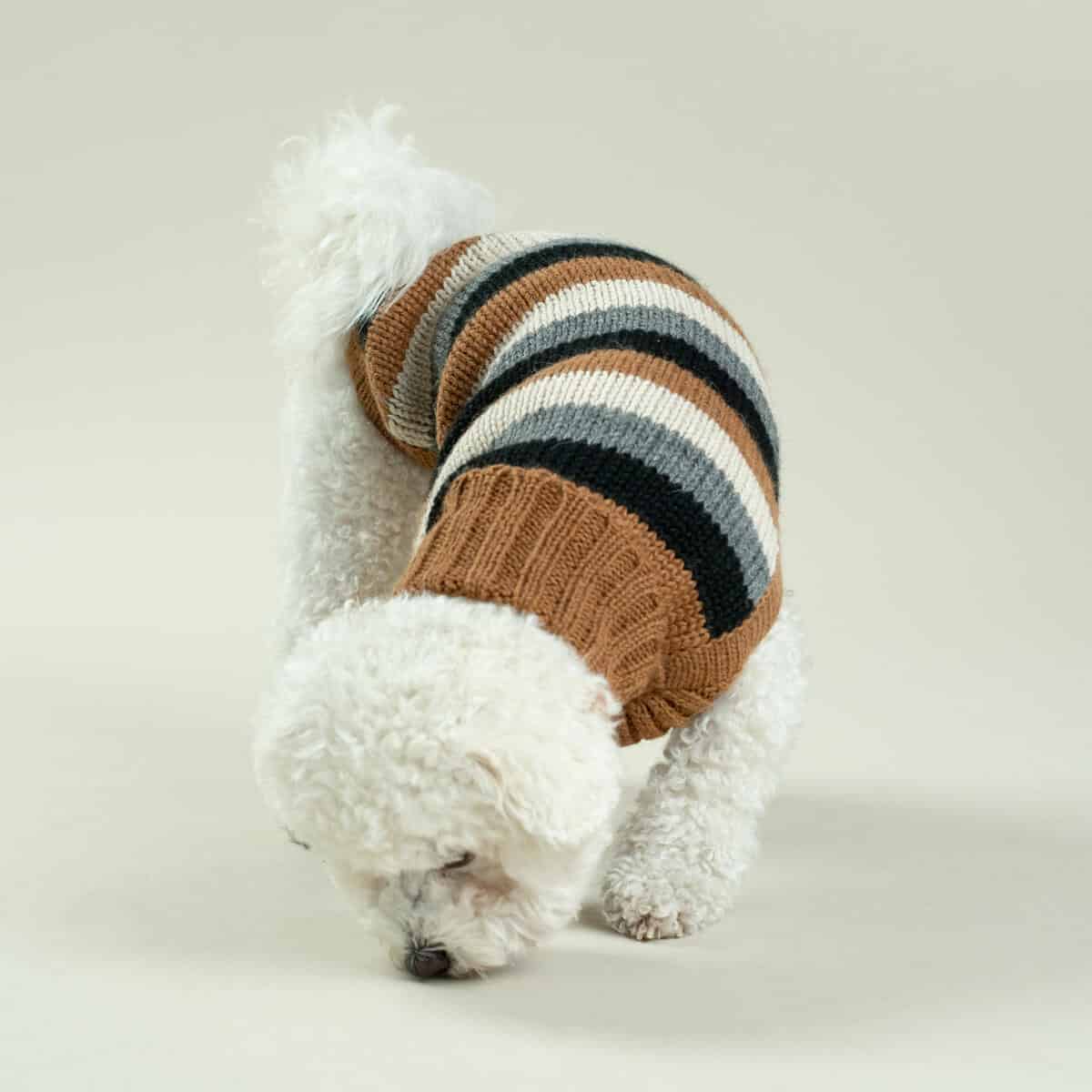 Alqo Wasi Hundepullover Native Stripes