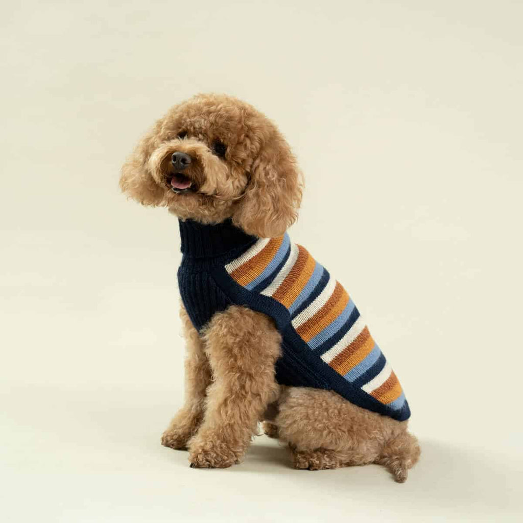 Alqo Wasi Hundepullover Navy Stripes