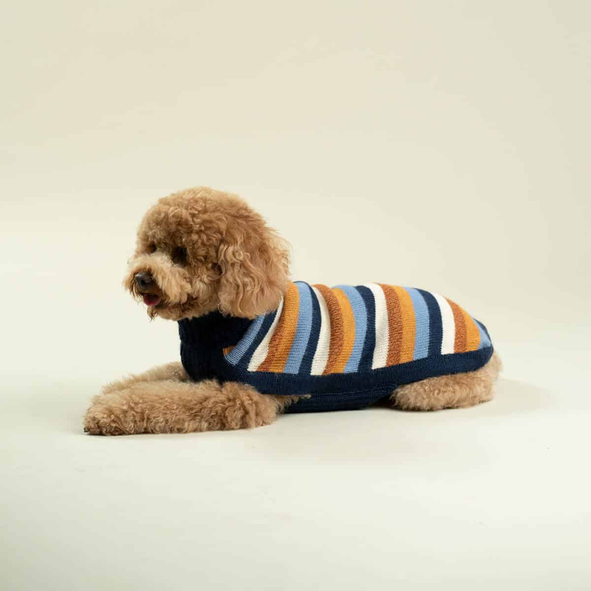 Alqo Wasi Hundepullover Navy Stripes