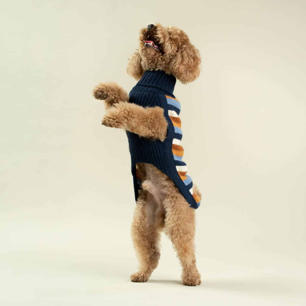 Alqo Wasi Hundepullover Navy Stripes