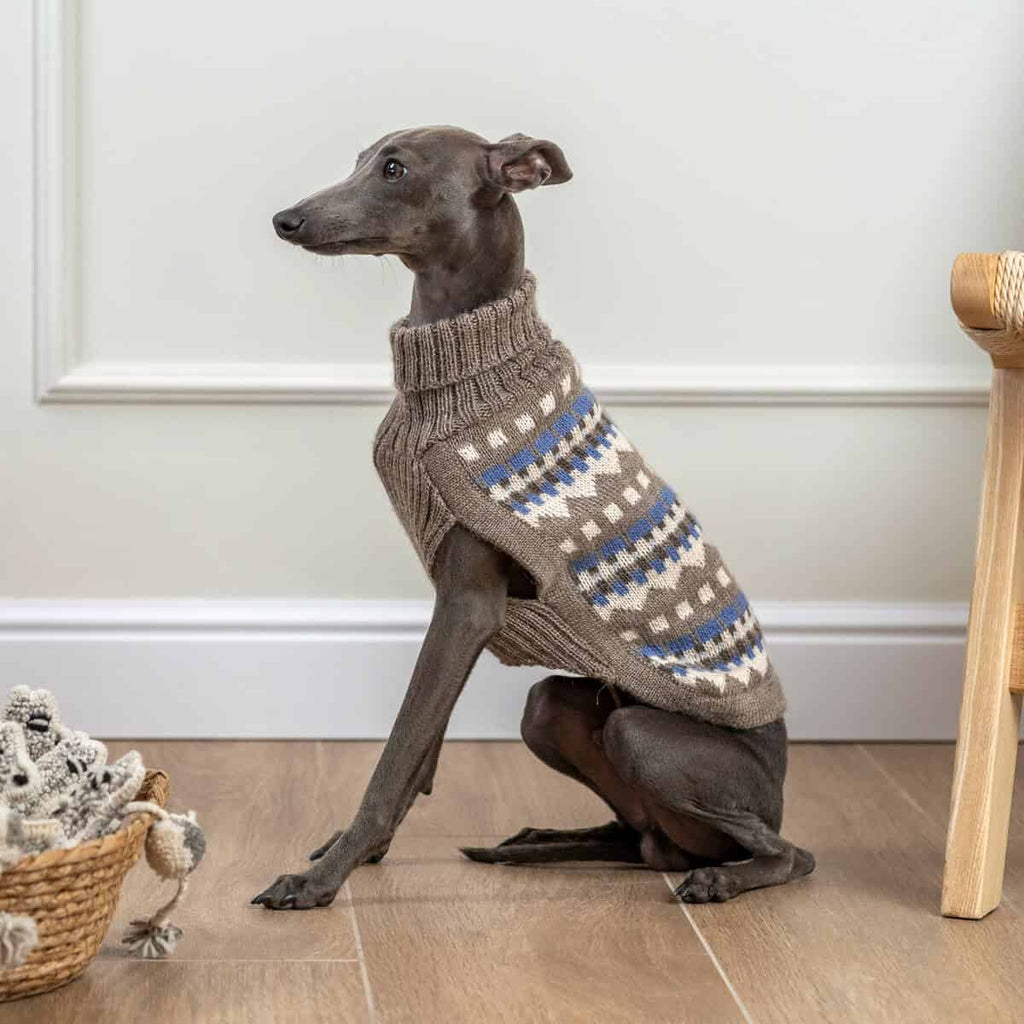 Alqo Wasi Dog Sweater Oasis