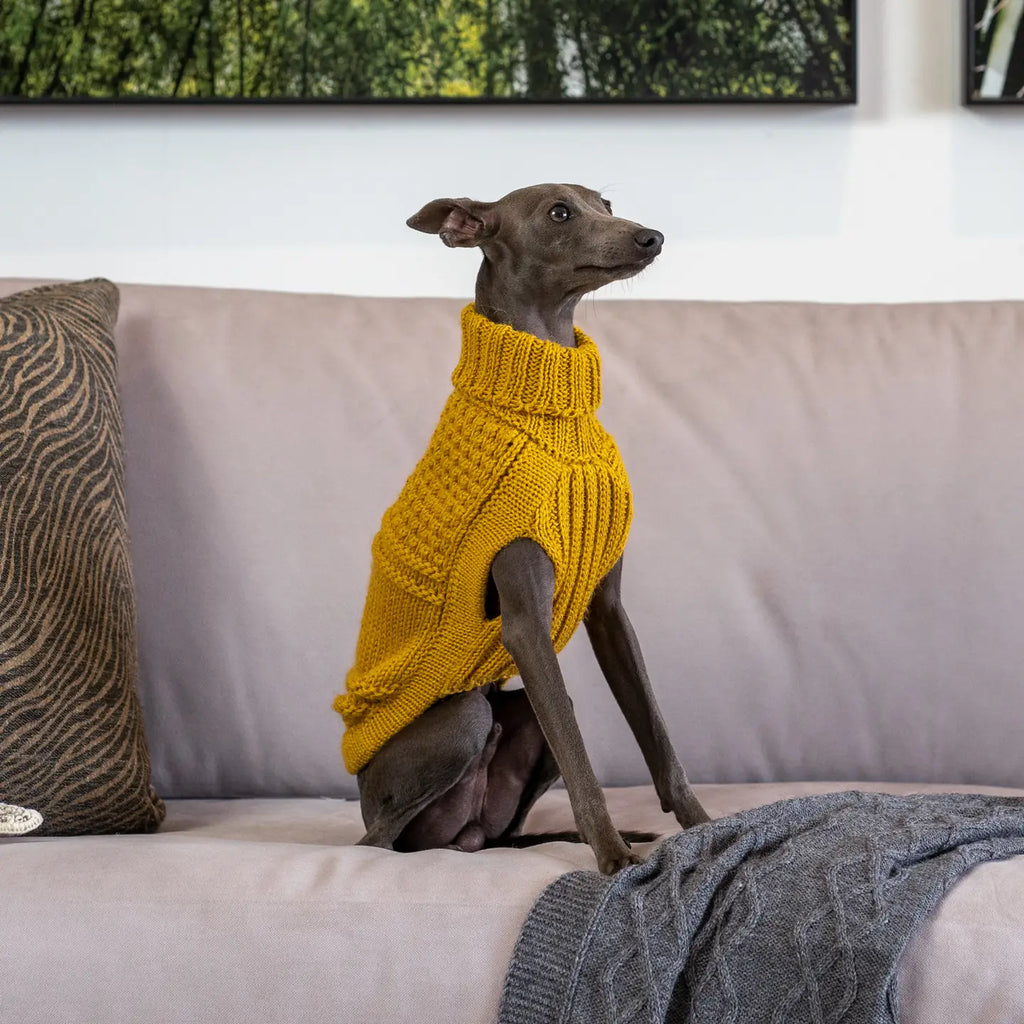 Alqo Wasi Hundepullover Oscar Mustard