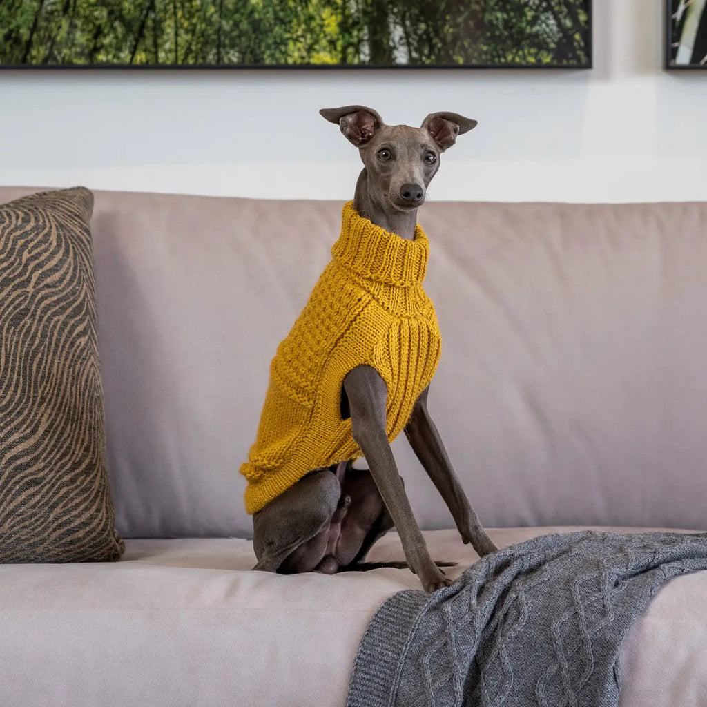Alqo Wasi Hundepullover Oscar Mustard