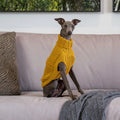 Alqo Wasi Hundepullover Oscar Mustard